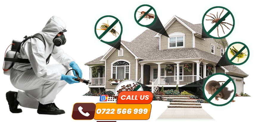 pest control service nairobi kenya