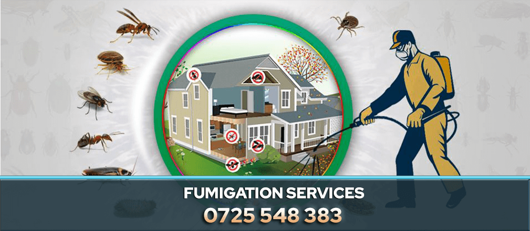 FUMIGATION SERVICES NAIROBI KENYA PEST CONTROL COMPANY