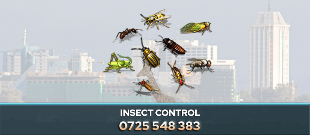 INSECT CONTROL NAIROBI KENYA PEST CONTROL COMPANY