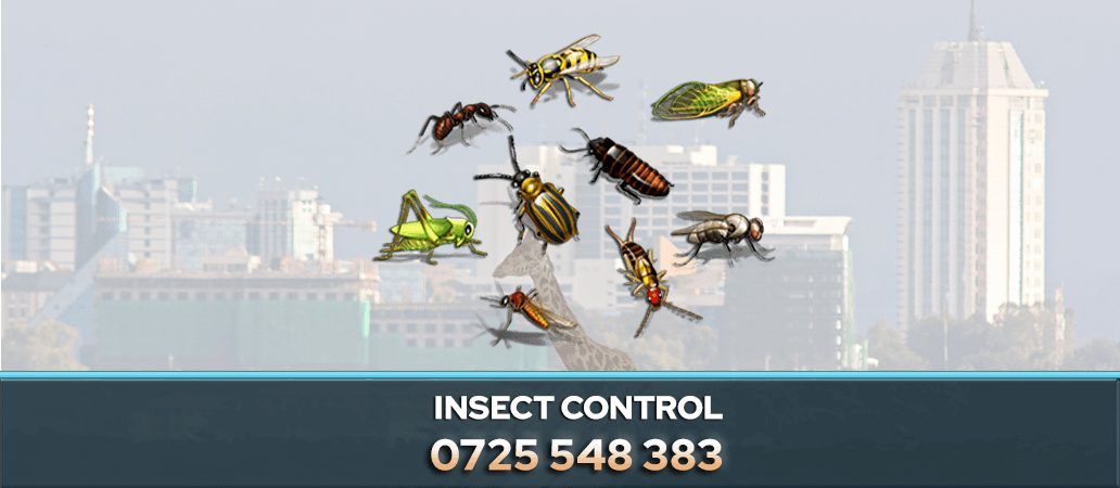 INSECT CONTROL NAIROBI KENYA PEST CONTROL COMPANY