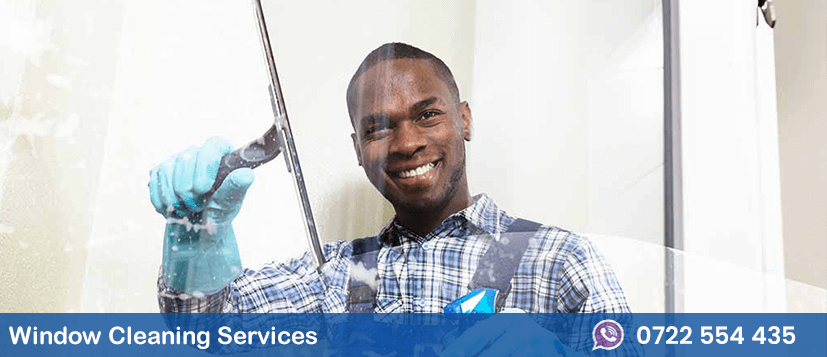 Window Cleaning Services